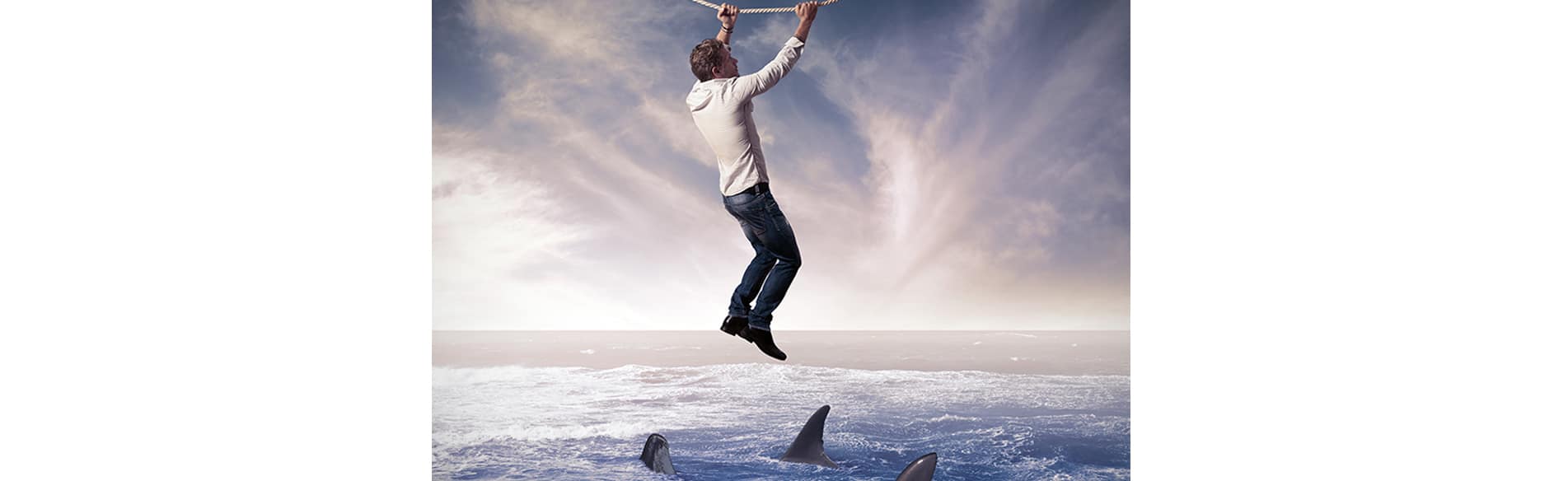 Growing A Small Business – How to Survive Amongst Sharks